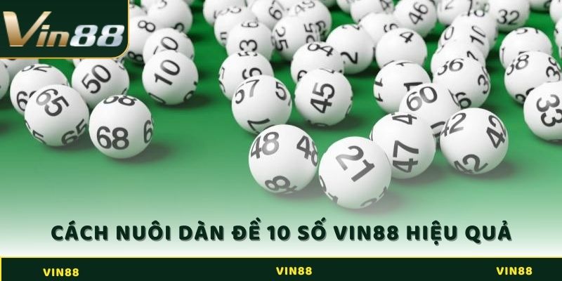 Dàn Đề 10 Số - Húp Ngay Tiền Thưởng Từ Chuyên Gia Vin88 3 Chỉ bạn cách nuôi dàn đề 10 số VIN88 cực hiệu quả