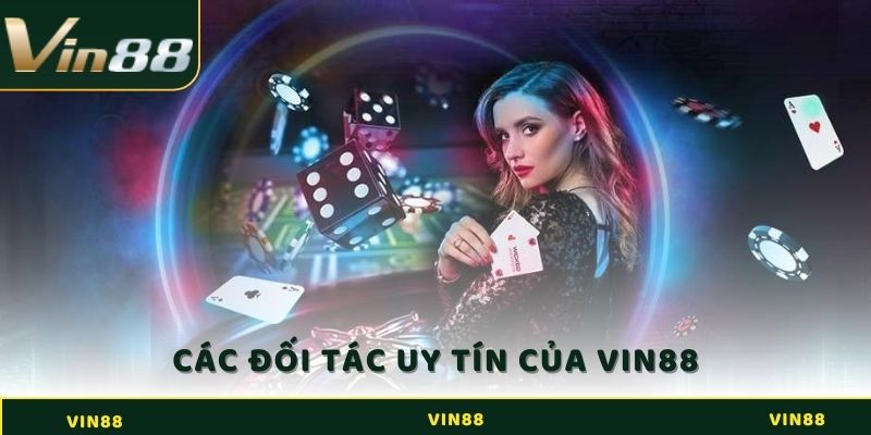 Vin88 29 Đội ngũ phát triển và đối tác chiến lược