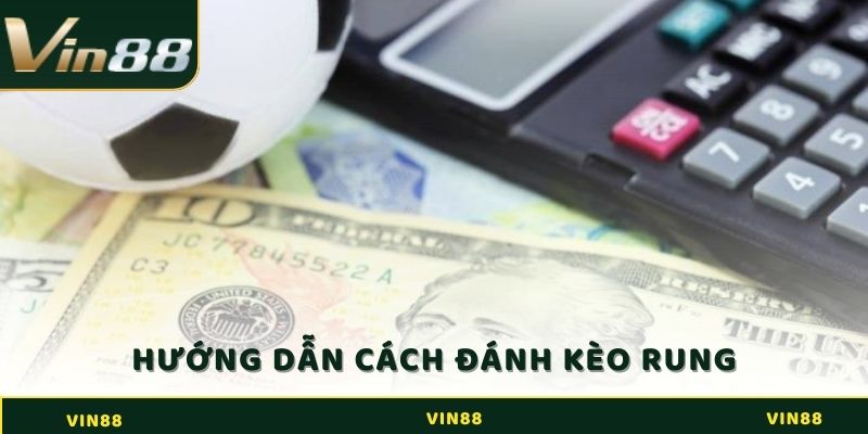 Tất Tần Tật Về Kèo Rung - Cách Chơi Thắng Chắc Tại Vin88 2 Hướng dẫn cách đánh kèo rung