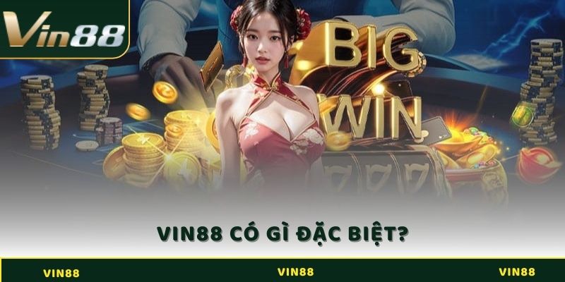 Tổng Quan VIN88 - Sảnh Cá Cược Nổi Bật và Khác Biệt 1 Tổng quan VIN88 có gì đặc biệt với người chơi